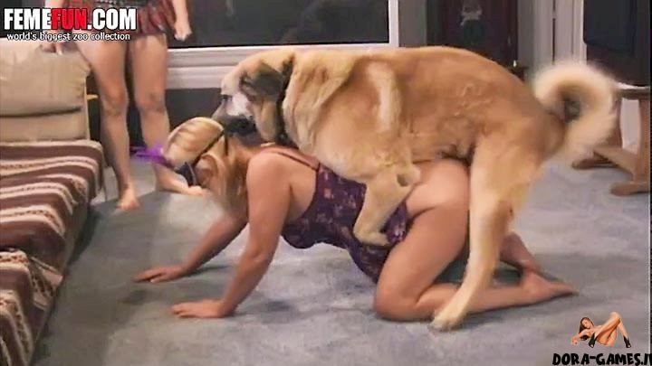 Dog and woman porn