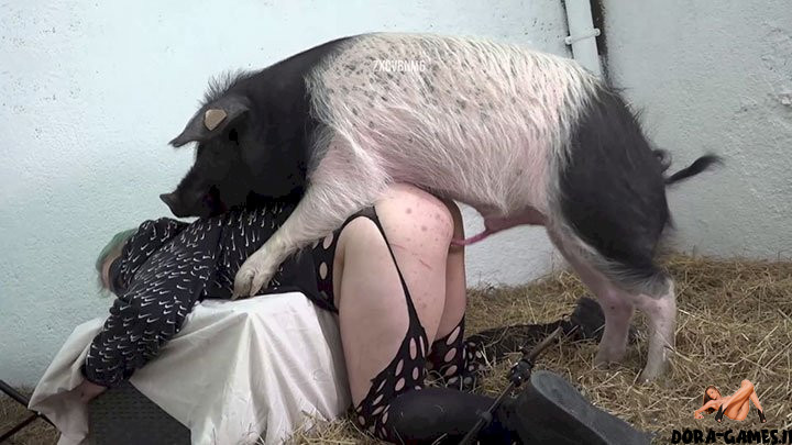 Pig Fucked